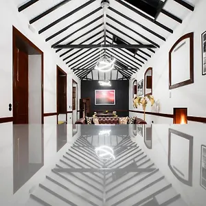 https://olio-la-palma.in-canary-islands.com